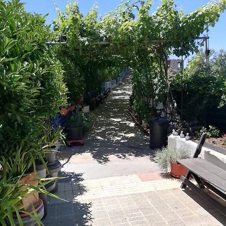 Casa Mari Carmen Y Jose Apartman Costa Adeje  Kültér fotó