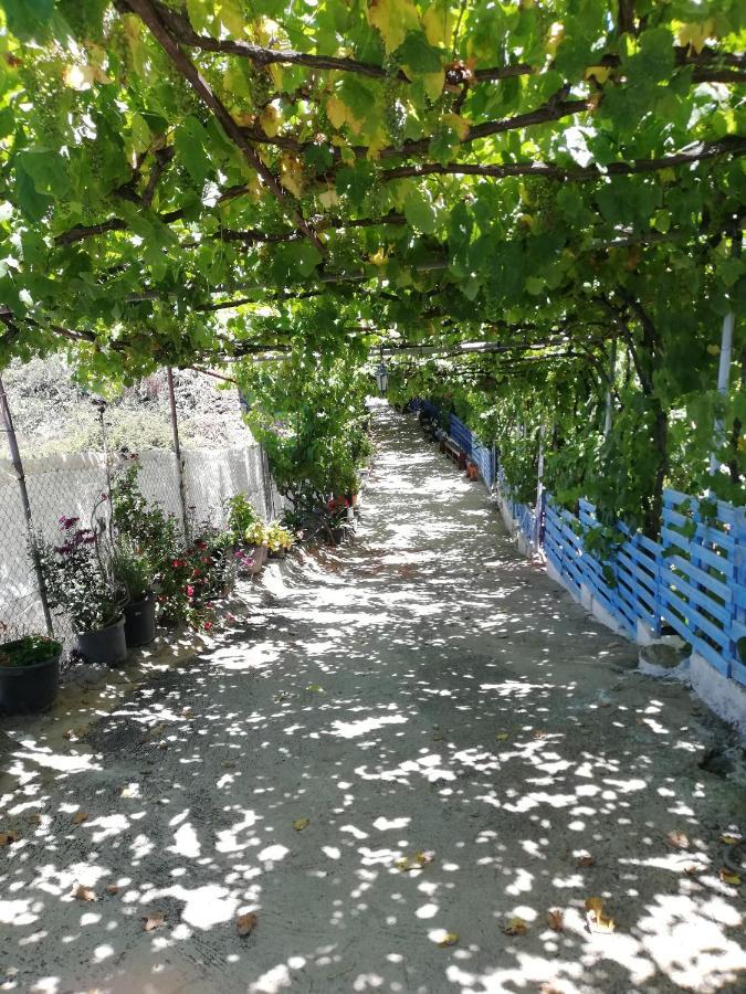 Casa Mari Carmen Y Jose Apartman Costa Adeje  Kültér fotó