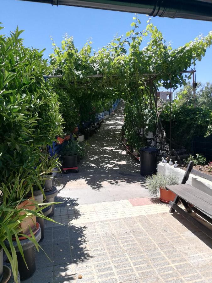 Casa Mari Carmen Y Jose Apartman Costa Adeje  Kültér fotó